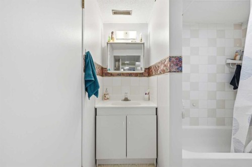 284 Falton Drive Ne, Calgary, AB - Indoor Photo Showing Bathroom