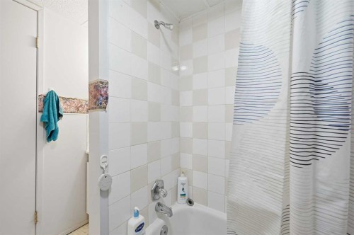 284 Falton Drive Ne, Calgary, AB - Indoor Photo Showing Bathroom