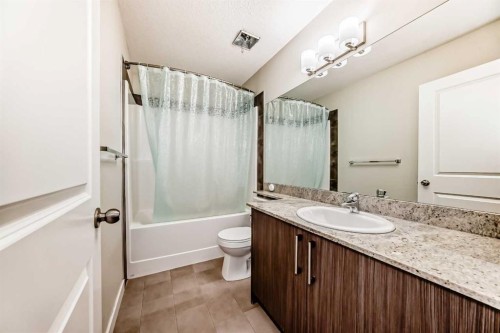115-300 Marina Drive, Chestermere, AB - Indoor Photo Showing Bathroom