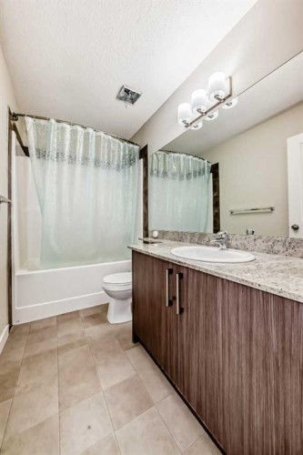 115-300 Marina Drive, Chestermere, AB - Indoor Photo Showing Bathroom