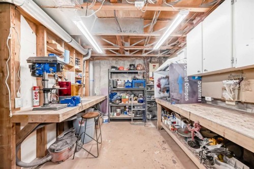 238 Berwick Drive Nw, Calgary, AB - Indoor Photo Showing Basement
