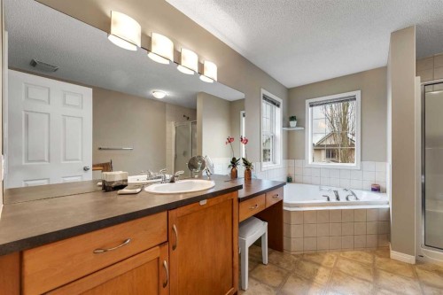 136 Copperfield Close Se, Calgary, AB - Indoor Photo Showing Bathroom