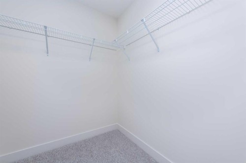 101 Waterford Passage, Chestermere, AB - Indoor With Storage