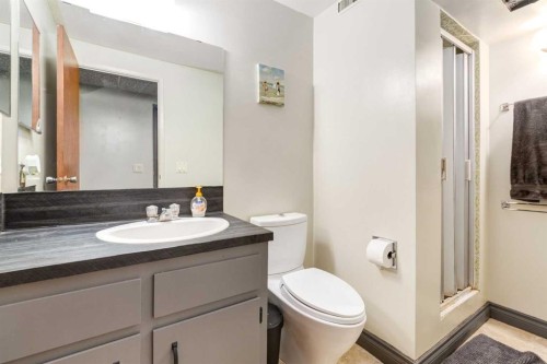 744 Hunterston Crescent Nw, Calgary, AB - Indoor Photo Showing Bathroom