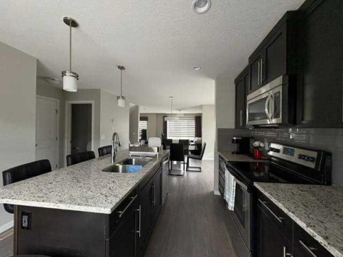 202 Evansridge Park Nw, Calgary, AB - Indoor Photo Showing Kitchen With Double Sink With Upgraded Kitchen