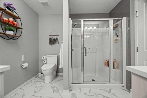 66 Howse Common Ne, Calgary, AB - Indoor Photo Showing Bathroom