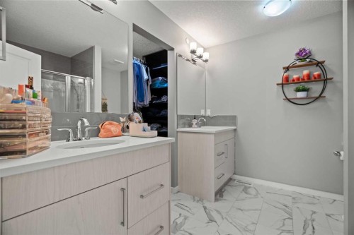 66 Howse Common Ne, Calgary, AB - Indoor Photo Showing Bathroom
