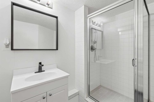 69 Harrow Crescent Sw, Calgary, AB - Indoor Photo Showing Bathroom