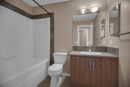 136 New Brighton Point Se, Calgary, AB - Indoor Photo Showing Bathroom