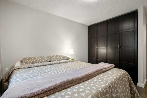 301-523 15 Avenue Sw, Calgary, AB - Indoor Photo Showing Bedroom