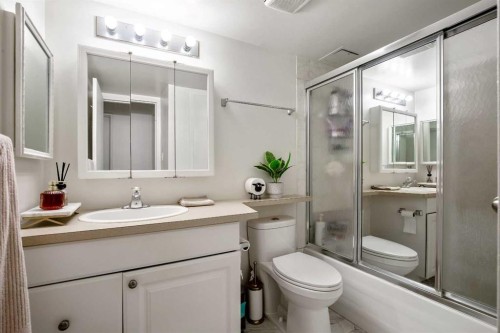 301-523 15 Avenue Sw, Calgary, AB - Indoor Photo Showing Bathroom