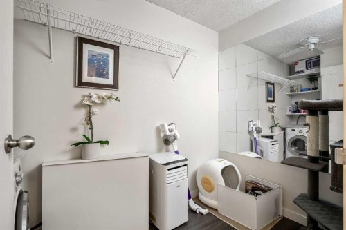 301-523 15 Avenue Sw, Calgary, AB - Indoor Photo Showing Laundry Room