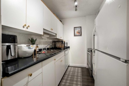 301-523 15 Avenue Sw, Calgary, AB - Indoor Photo Showing Kitchen With Double Sink