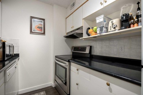 301-523 15 Avenue Sw, Calgary, AB - Indoor Photo Showing Kitchen