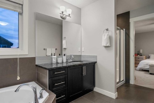 2322 Bayside Circle Sw, Airdrie, AB - Indoor Photo Showing Bathroom