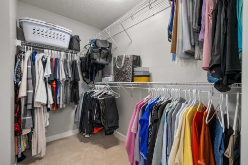 2322 Bayside Circle Sw, Airdrie, AB - Indoor With Storage