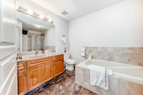 252 18 Avenue Nw, Calgary, AB - Indoor Photo Showing Bathroom