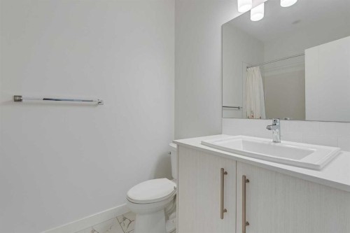 302-6 Merganser Drive, Chestermere, AB - Indoor Photo Showing Bathroom