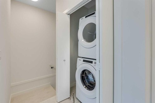 302-6 Merganser Drive, Chestermere, AB - Indoor Photo Showing Laundry Room