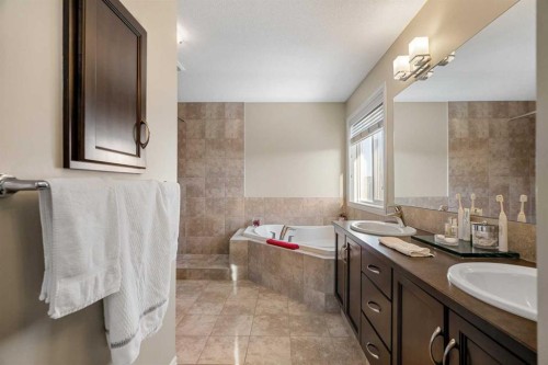 48 Evanswood Circle Nw, Calgary, AB - Indoor Photo Showing Bathroom