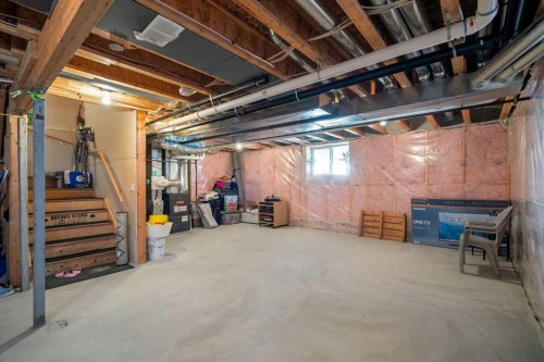 48 Evanswood Circle Nw, Calgary, AB - Indoor Photo Showing Basement