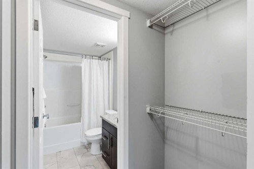 4114-99 Copperstone Park Se, Calgary, AB - Indoor Photo Showing Bathroom