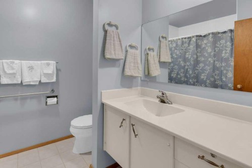113 Brown Crescent Nw, Calgary, AB - Indoor Photo Showing Bathroom