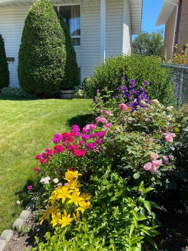 113 Brown Crescent Nw, Calgary, AB - Outdoor