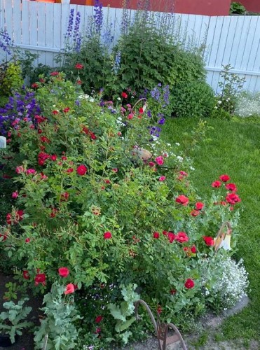 113 Brown Crescent Nw, Calgary, AB - Outdoor