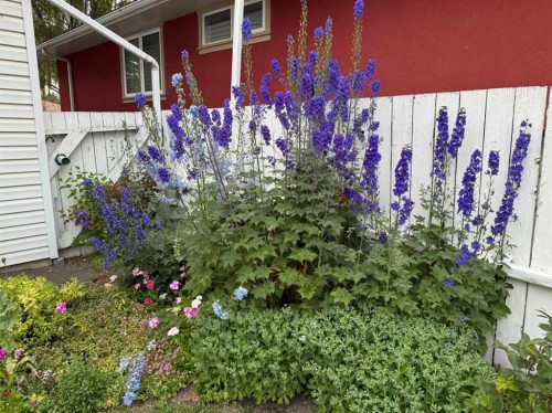 113 Brown Crescent Nw, Calgary, AB - Outdoor