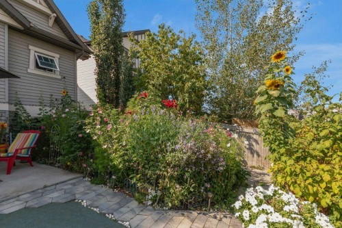 138 Reunion Landing, Airdrie, AB - Outdoor