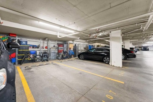 3407-11 Mahogany Row Se, Calgary, AB - Indoor Photo Showing Garage