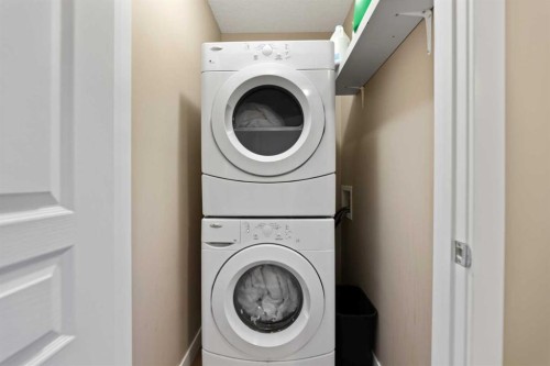 51 Legacy Close Se, Calgary, AB - Indoor Photo Showing Laundry Room