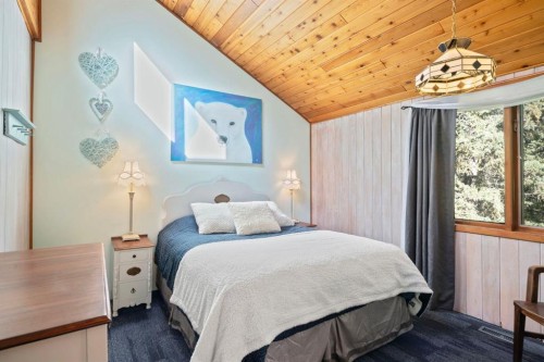 9 Ghost Road, Benchlands, AB - Indoor Photo Showing Bedroom