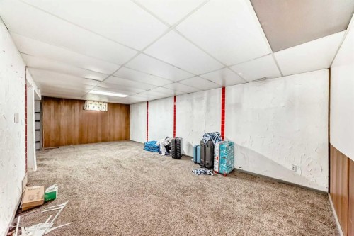 1502 49 Street Se, Calgary, AB - Indoor Photo Showing Basement