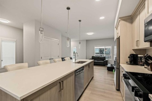 611-20295 Seton Way Se, Calgary, AB - Indoor Photo Showing Kitchen With Double Sink With Upgraded Kitchen