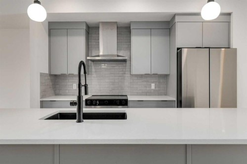 46 Belvedere Terrace Se, Calgary, AB - Indoor Photo Showing Kitchen With Double Sink With Upgraded Kitchen