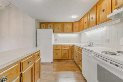 9-2225 Oakmoor Drive Sw, Calgary, AB - Indoor Photo Showing Kitchen With Double Sink
