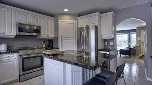 466 Douglas Park View Se, Calgary, AB - Indoor Photo Showing Kitchen With Stainless Steel Kitchen With Upgraded Kitchen