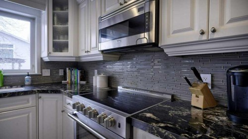 466 Douglas Park View Se, Calgary, AB - Indoor Photo Showing Kitchen With Upgraded Kitchen