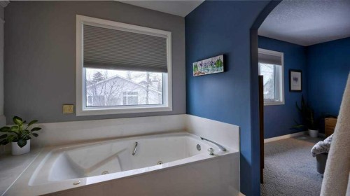 466 Douglas Park View Se, Calgary, AB - Indoor Photo Showing Bathroom