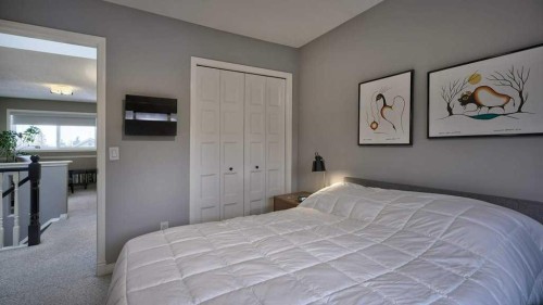 466 Douglas Park View Se, Calgary, AB - Indoor Photo Showing Bedroom