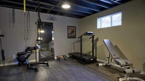 466 Douglas Park View Se, Calgary, AB - Indoor Photo Showing Gym Room