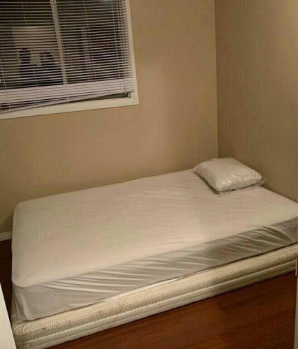 164 Faldale Close Ne, Calgary, AB - Indoor Photo Showing Bedroom