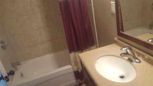 164 Faldale Close Ne, Calgary, AB - Indoor Photo Showing Bathroom