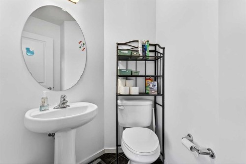 222 Walden Gate Se, Calgary, AB - Indoor Photo Showing Bathroom
