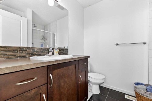 222 Walden Gate Se, Calgary, AB - Indoor Photo Showing Bathroom