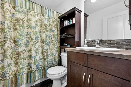 222 Walden Gate Se, Calgary, AB - Indoor Photo Showing Bathroom