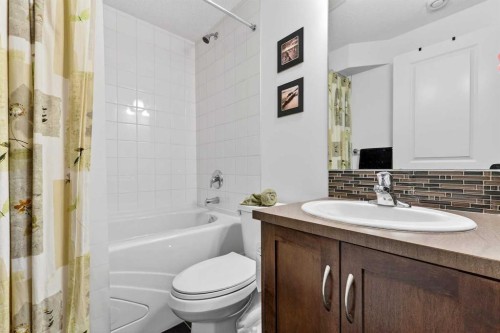 222 Walden Gate Se, Calgary, AB - Indoor Photo Showing Bathroom