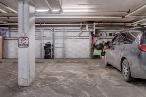 1311-155 Skyview Ranch Way Ne, Calgary, AB - Indoor Photo Showing Garage